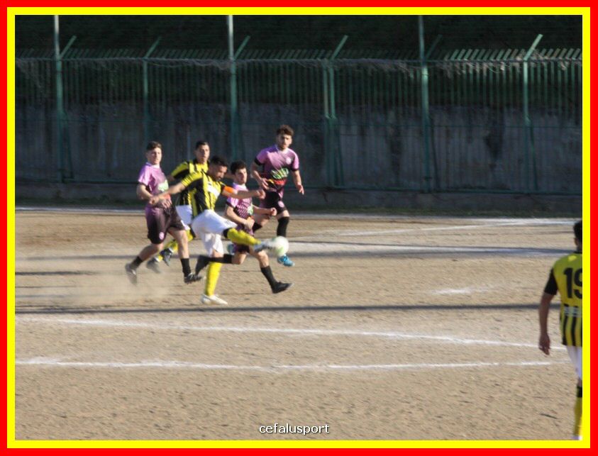 190310 Cephal_Torrenov 178_tn.jpg